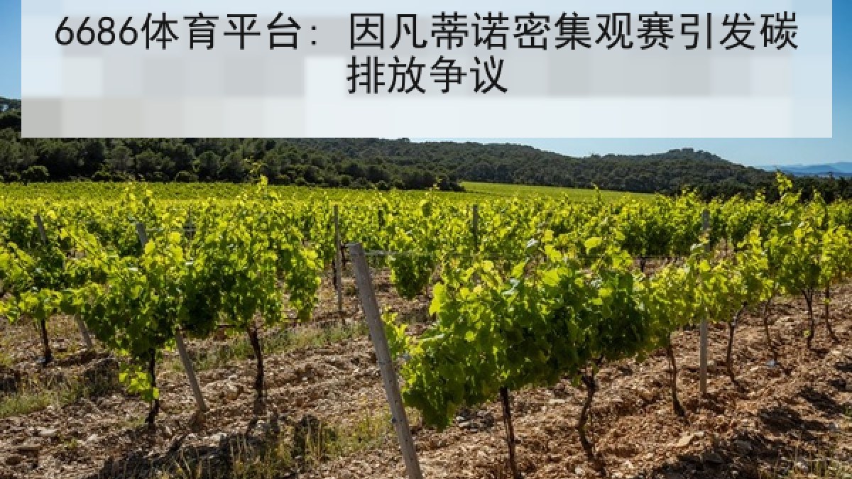 6686体育平台: 因凡蒂诺密集观赛引发碳排放争议