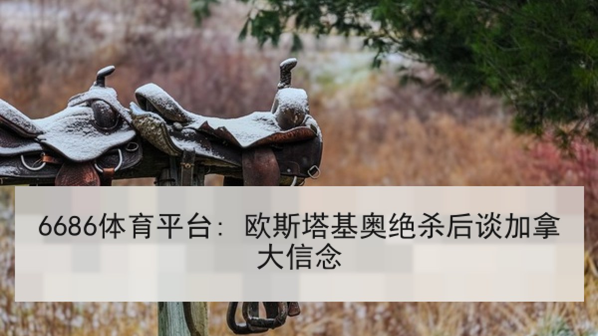 6686体育平台: 欧斯塔基奥绝杀后谈加拿大信念