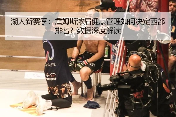 湖人新赛季：詹姆斯浓眉健康管理如何决定西部排名？数据深度解读