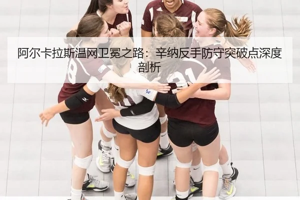 a-er-ka-la-si-wen-wang-wei-mian-zhi-lu-xin-na-fan-shou-fang-shou-tu-po-dian-shen-du-pou-xi-2-311.jpg