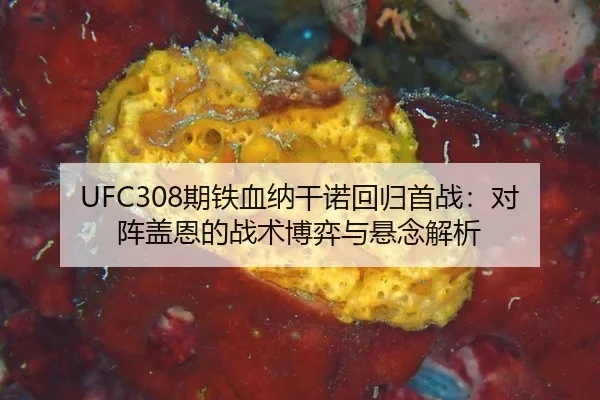 qi-tie-xue-na-gan-nuo-hui-gui-shou-zhan-dui-zhen-gai-en-de-zhan-shu-bo-yi-yu-xuan-nian-jie-xi-3-681.jpg