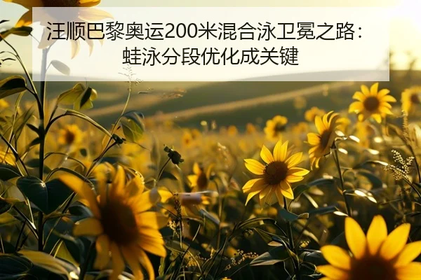 wang-shun-ba-li-ao-yun-mi-hun-he-yong-wei-mian-zhi-lu-wa-yong-fen-duan-you-hua-cheng-guan-jian-3-827.jpg